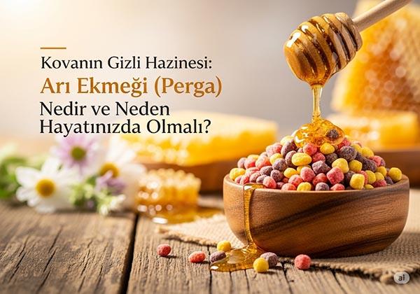 Kovanın Gizli Hazinesi: Arı Ekmeği (Perga) Nedir ve Neden Hayatınızda Olmalı?