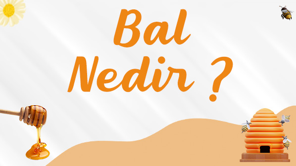 Bal Nedir ?
