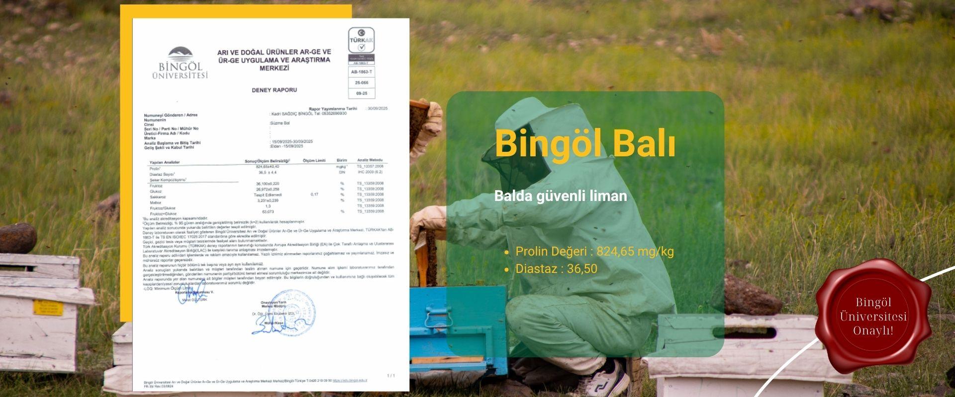 Bal Piyasasındaki "Büyük Tehlike"ye Karşı Bilimle Tescillenen Güç: Bingöl Balı