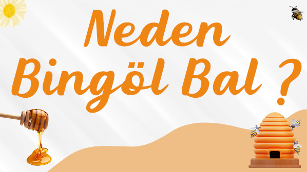 Neden Bingöl Bal ?