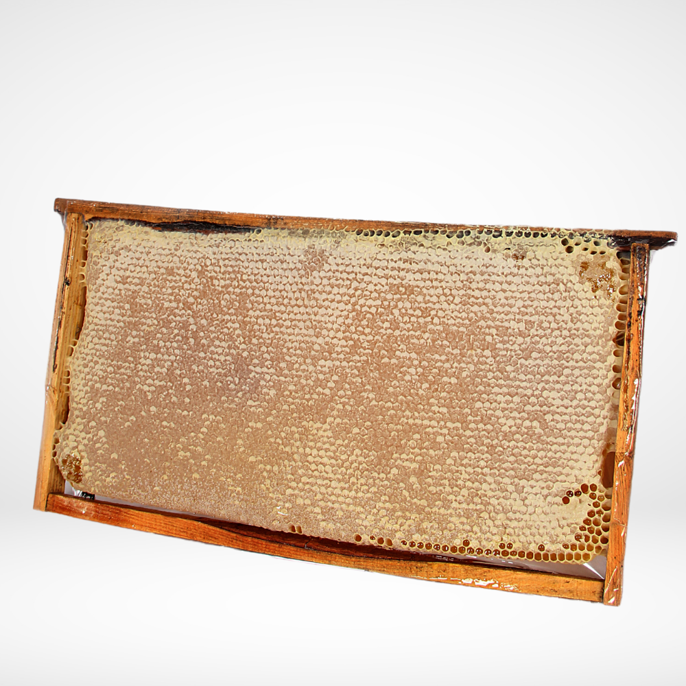 Binyörem Petek Balı: Bingöl'ün El Değmemiş Yaylalarından Sofranıza Gelen Şifa 3,5KG